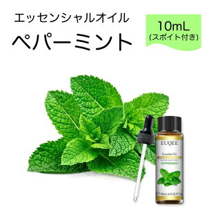 yp[~g Mentha plperita X|Cgt 10mLEUQEE i PREMIUM GRADE n[u  GbZVIC  A}IC Y  VR