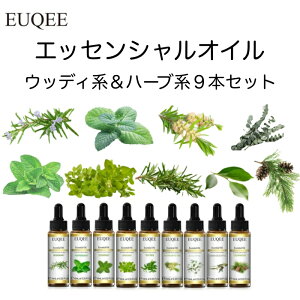 EbfB&n[u 10mL S9ރZbg X|CgtEUQEE i PREMIUM GRADE   GbZVIC  A}IC Y  VR