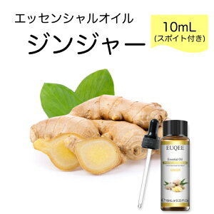 WW[ I Zingiber officinalis X|Cgt 10mLEUQEE i PREMIUM GRADE XpCX GbZVIC  A}IC Y  VR