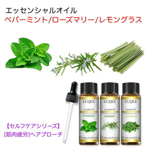 yZtPAV[Yzyp[~g/[Y}[/OX X|Cgt 10mL x 3{ZbgyؓJփAv[`z EUQEE i PREMIUM GRADE n[u  k VgX GbZVI