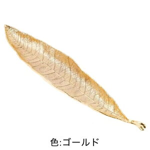 IuWF̂悤ȑ`[t^ (S[h/Vo[/uY/I[uO[)   CZXz_[ CZXX^h tό^ t` {^jJ 