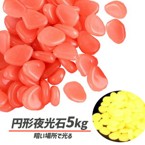  ~` ~  ANAE C~l[V ̑ 5kg 2600 u[ Jt S[h O[ sN Cgp[v zCg p[v CgO[ IW
