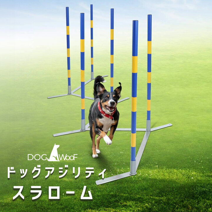 楽天市場】ドッグアジリティ スラローム 競技用 訓練 練習 