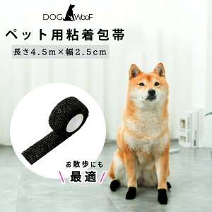  L  ybg Lk ybgpS 4.5m ̕ی rߖh~ V  ی  5Zbg