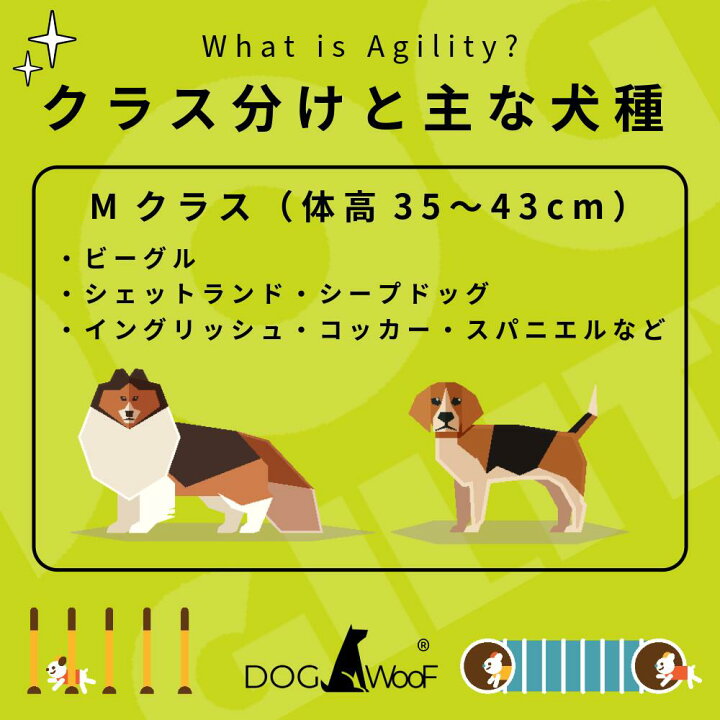 楽天市場】ドッグアジリティー ハードル 競技用ハードル アジリティ 