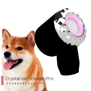 �V�����[�w�b�h�̂� �d�Y�_ �N���X�^���C�I���V�����[�v�� �Y�_�V�����[