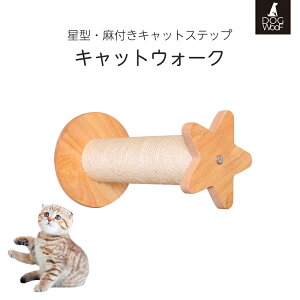 LbgXebv L Ǌ| ܂Ƃ VR C LbgEH[N Ǖt Lbg^[ LKi ^ Xebv x R