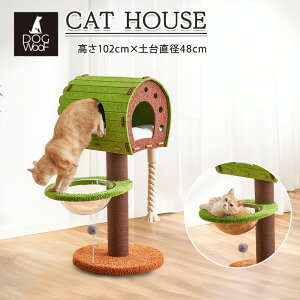 2iLbgnEX JvZt Lbg^[ W] O[