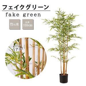 tFCNO[ ϗtA A lHϗtA 155cm | a sv