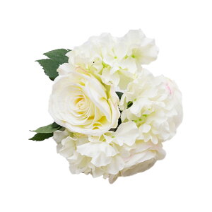 tFCNt[  KNAWTC u[P S25cm A lH sv (XvOzCg / XvOsN)