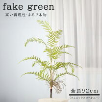 楽天市場】フェニックス ロベレニー（人工観葉植物｜造花・人工観葉 