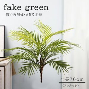 tFCNO[ ϗtA A lHϗtA 70cm AJV sv Ȃ