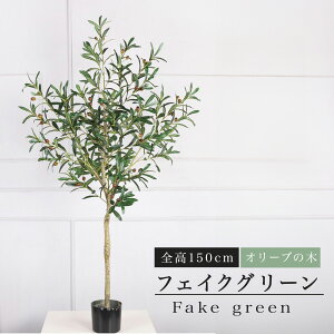 tFCNO[ ϗtA A lHϗtA 150cm ̂ȂI[u̖ sv