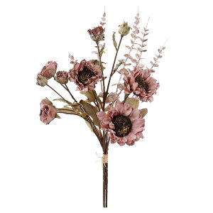 tFCNt[   Ђ܂ S59cm A lH sv@(I[^zCg / I[^IW / I[^p[v)