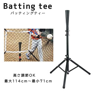 obeBOeB[ 싅g[jO K 114cm`71cm 3r RpNg[