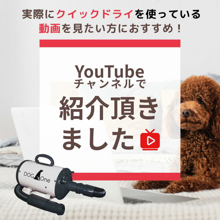 楽天市場】ペットドライヤー 犬用 大型犬 ブロワー 業務用 温風 大風量  