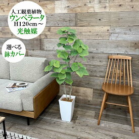 フェイクグリーン　ウンベラータ120cm　選べる鉢カバー　光触媒加工済　人工観葉植物大型