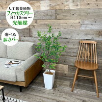 楽天市場】鉢カバー 大型（造花・人工観葉植物｜花・観葉植物）：花 