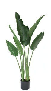 ytFCNO[^ElHϗtAz@tFCNO[@I[KX^1150