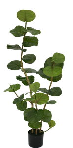 ytFCNO[ElHϗtAEԁz@tFCNO[@V[O[v1250