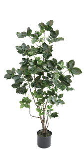 ytFCNO[ElHϗtAz@tFCNO[@VFt1200