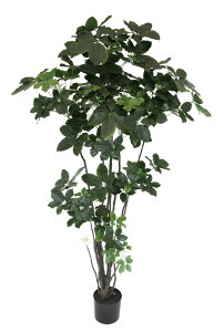 ytFCNO[ElHAEJ|bNz@tFCNO[@VFt1750