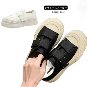 �傫 �E�H�[�L���O�V���[�Y �����₷�� �y�� ���ꂢ�� ����X�j�[�J�[ �t�ďH �V���[�Y �C ���U�[ �� �X�j�[�J�[ �� ���f�B�[�X