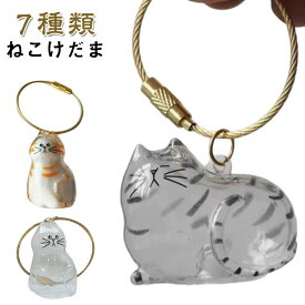 ねこけ 遺毛 毛玉入れ 7種類 猫 メモリアルペットグッズ 毛玉容器 透明ケース ケース 猫の毛収納キーホルダー 猫毛収納ボックス