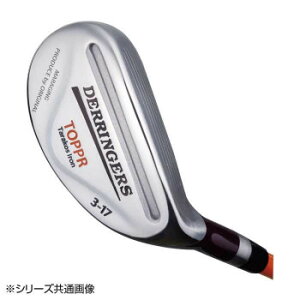 人気 おすすめ 日用品 デリンジャートッパ(突破)タラコアイアン 4番 シャフト硬度R DTT-04(R) おしゃれ ショップ 楽天 快気祝い