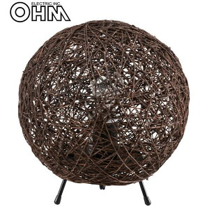 ACfAi ʔ  I[d@ OHM e[uX^h {[`^Cv TT-WN10CW lC ֗ ȑ