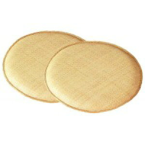 ق҂݃NbV@45 cm@2g@ی^@AZHDX45M2P TCY 45 cm TCY F 48 × 48 × 10 cm