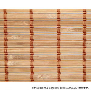 CeA Ƌ  ֘A |[Abv XN[ 88×120cm TSR263120BR uE   