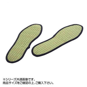 C\[ WjA 19cm lCr[ 3658599  a ֗G pi