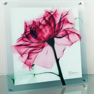 インテリア おしゃれ おすすめ 家具用品 可愛い オシャレなインテリア お洒落 家具 関連グッズ