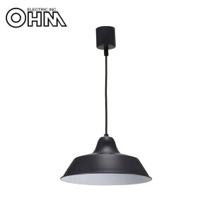 ACfA ֗ ObY OHM Ɩ y_gCg 60Wp ubN dʔ LT-Y10AW-K  ȑSꗥ 