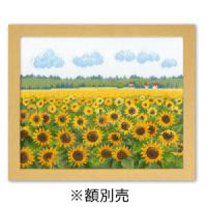 |ENtgEn ֘A IpX 7360 イLbg@A_VẢ(XyC) IXX 