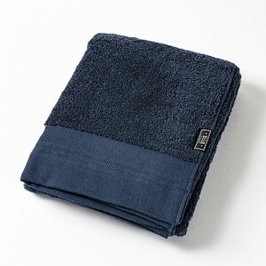 G 틴D ΂^I _uX^[ DOUBLE STAR ^g oX^I 70cm×130cm lCr[ 1-68265-11-KON   