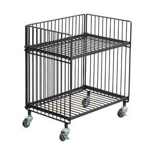 킢 G   C[S(M[EVO) WW-WW-RS    lC