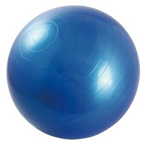 {iIȃGNTTCY nrGNTTCY œKȃoX{[ ω׏d100kg yZbgez Ct ydʁz 700g yގz PVC y`ԁz `bNtv(iV[) y