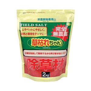 ֗ObY ACfAi 㓡 ށu͂ꂿv2kg 8703691 lC ȑ 