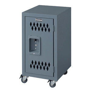 bJ[X`[`FXg bJ[̃fUCX`[`FXg[ iTCY:W30.5×D38.5×H60cm ގX`[(̓h) n}[g[dグ g ÓIω׏d5kg/I