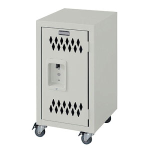 bJ[X`[`FXg bJ[̃fUCX`[`FXg[ iTCY:W30.5×D38.5×H60cm ގX`[(̓h) n}[g[dグ g ÓIω׏d5kg/I