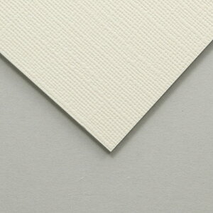 雑貨関連 【20個セット】 ARTEC キャンバスボードSX F0 ATC133042X20 おすすめ 送料無料 おしゃれ