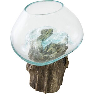  G  J KXIuWF NA TTZ-311    lC