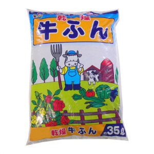 ʔ  | ӂ 35L 3   Ⴉ G