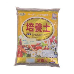 ACfA ֗ ObY | |{y 1.2L 30  ȑSꗥ 