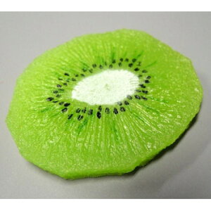 {El HiTv}Olbg LEC@IP-305 X pi H | ֘AP P C@ ŉtX^h JE^[`FA ~߃}bg Ŕ eBbVP[X dqj