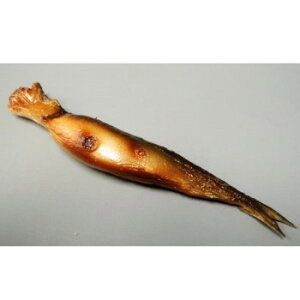 {El HiTv}Olbg @IP-319 X pi H | ֘AP T[rXJ[g ē\ Xܗp`FA ①V[P[X Xܔi JE^[bN  l[v