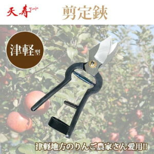 V@@Ìy^ K[fjO DIY | ֘AP ACfAi 傫 K     K[f G I ؍  ACfBA ֗ ZObY  jH oPc  tb