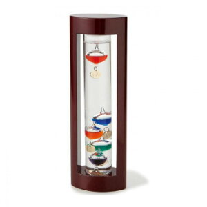 JY Fun Science t@TCGX KXt[gxvL 333-202